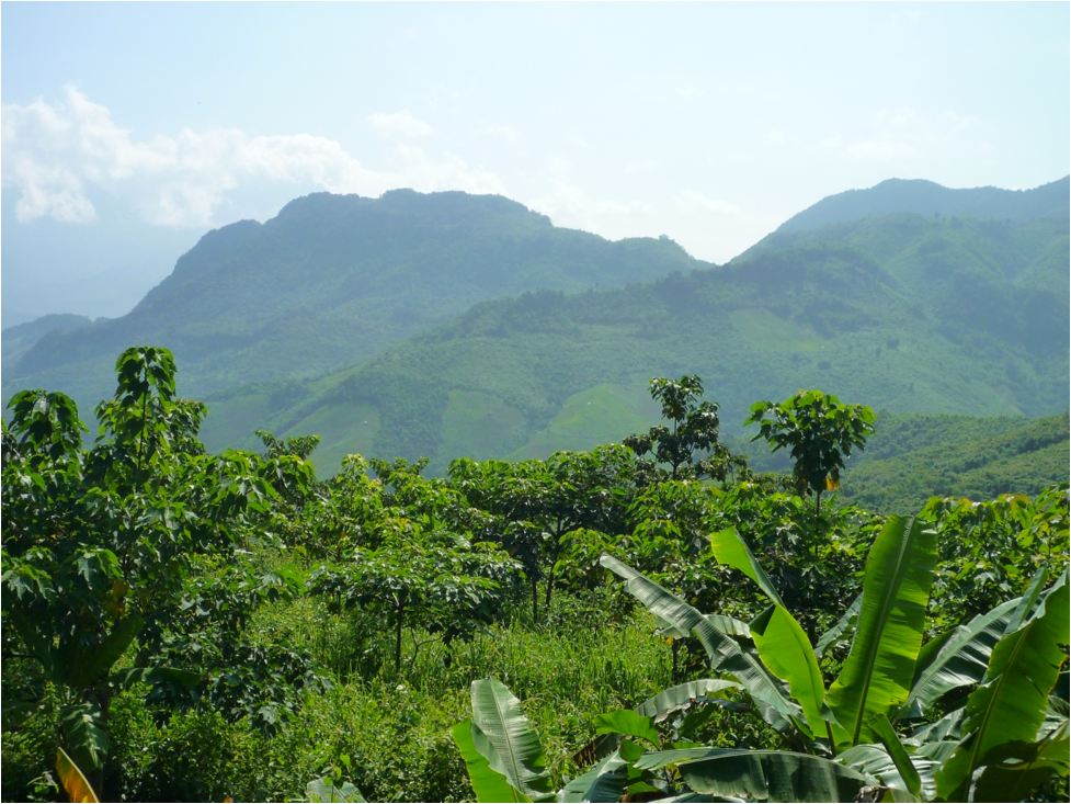 Laos is beautiful….too bad about the 80 million unexploded “Bombies”