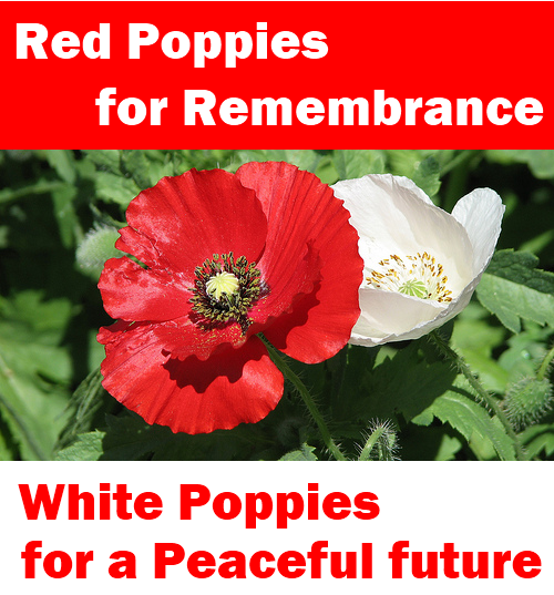 New Remembrance Day Resources for Teachers